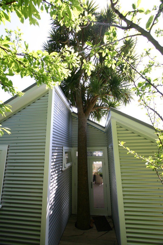 We built around the much loved cabbage tree